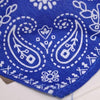 Pet Dog Bandana