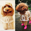 Transparent Dog Raincoat