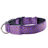 LED Leopard Dog Collar