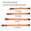Luminous Safety Pet LED Collar