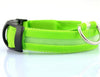 Luminous Safety Pet LED Collar