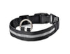 Luminous Safety Pet LED Collar