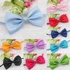 Cute Dog Bow Tie