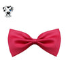 Cute Dog Bow Tie